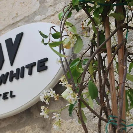 Hotel The White 2*