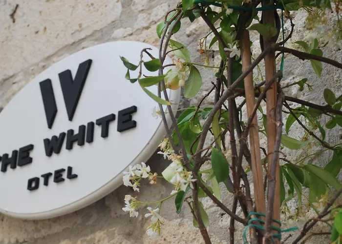 Hotel The White 2*